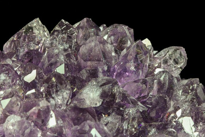Purple Amethyst Cluster - Uruguay #66719